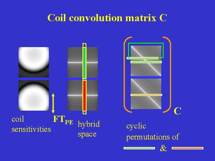 Coil convolution matrix C coil FTPE hybrid sensitivities space C cyclic permutations of &