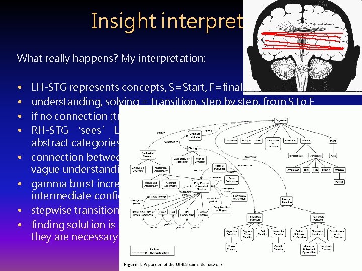 Insight interpreted What really happens? My interpretation: • • LH-STG represents concepts, S=Start, F=final