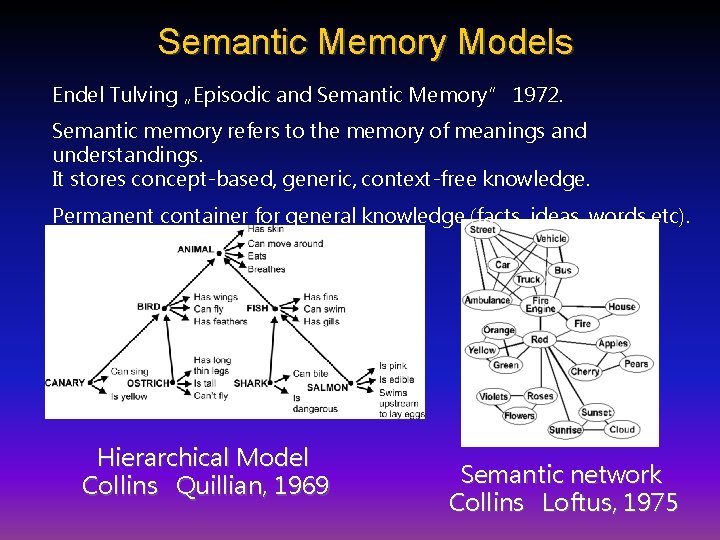 Semantic Memory Models Endel Tulving „Episodic and Semantic Memory” 1972. Semantic memory refers to