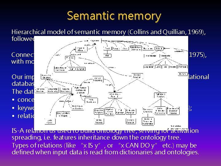 Semantic memory Hierarchical model of semantic memory (Collins and Quillian, 1969), followed by most