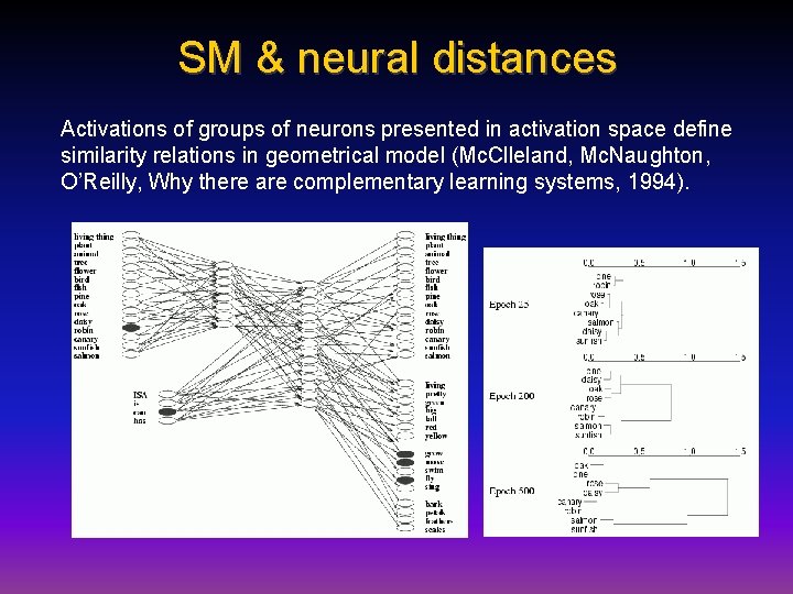 SM & neural distances Activations of groups of neurons presented in activation space define