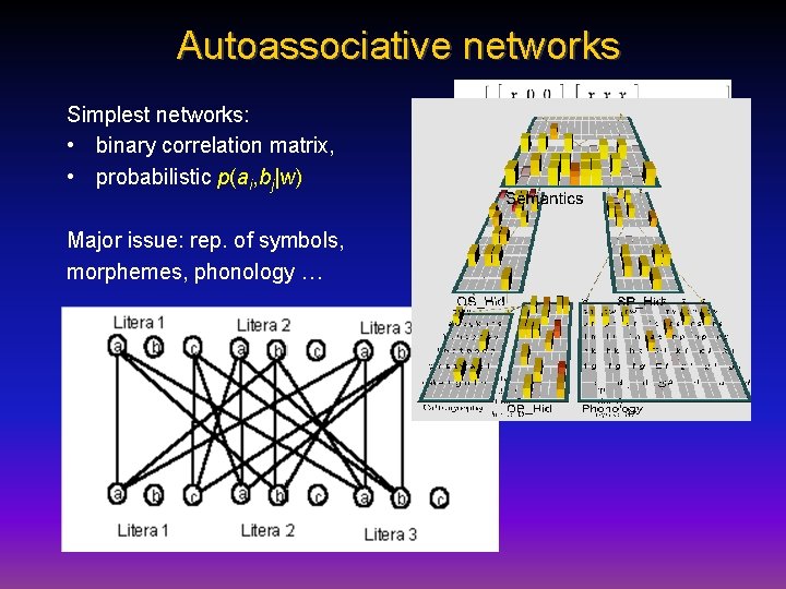 Autoassociative networks Simplest networks: • binary correlation matrix, • probabilistic p(ai, bj|w) Major issue: