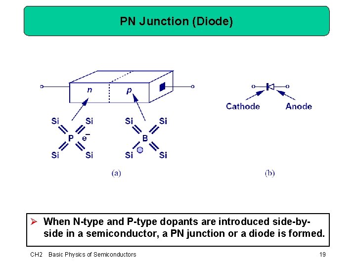 PN Junction (Diode) Ø When N-type and P-type dopants are introduced side-byside in a