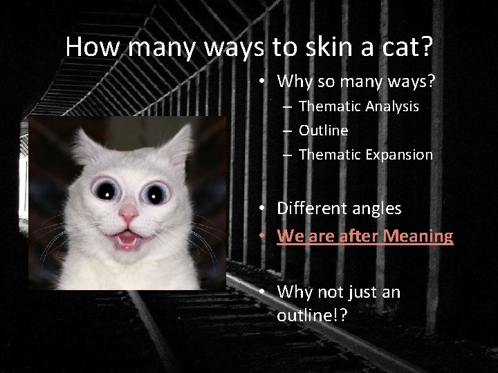 How many ways to skin a cat? • Why so many ways? – Thematic