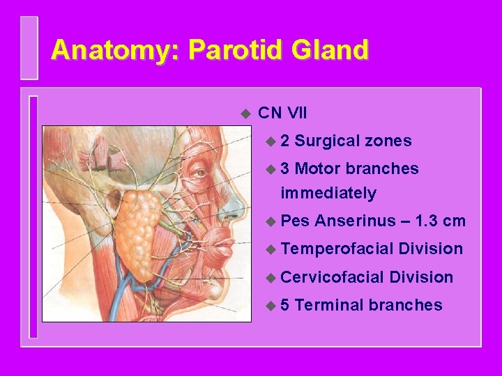 SALIVARY GLAND DISEASES omr Introduction Classification of salivary