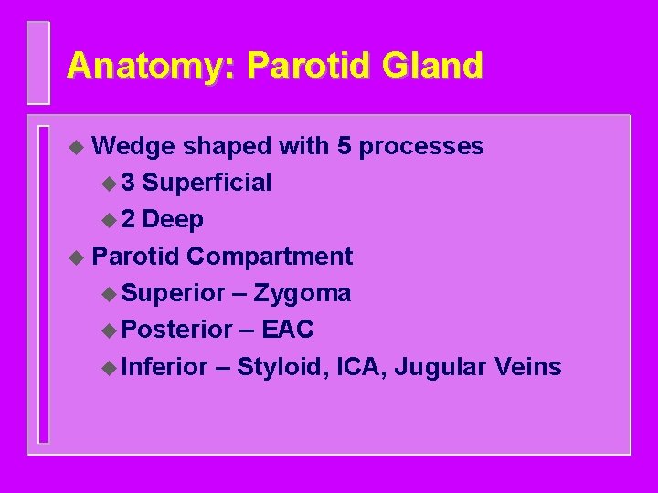 Anatomy: Parotid Gland u Wedge shaped with 5 processes u 3 Superficial u 2