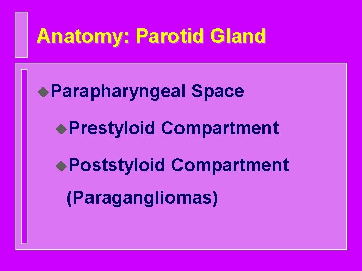 Anatomy: Parotid Gland u. Parapharyngeal u. Prestyloid Space Compartment u. Poststyloid Compartment (Paragangliomas) 