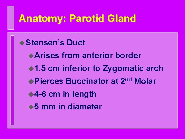 Anatomy: Parotid Gland u Stensen’s u. Arises u 1. 5 from anterior border cm