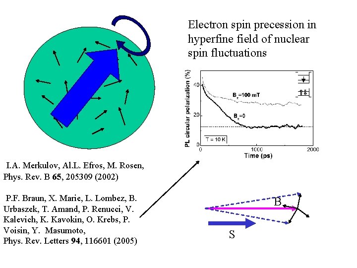 Electron spin precession in hyperfine field of nuclear spin fluctuations I. A. Merkulov, Al.