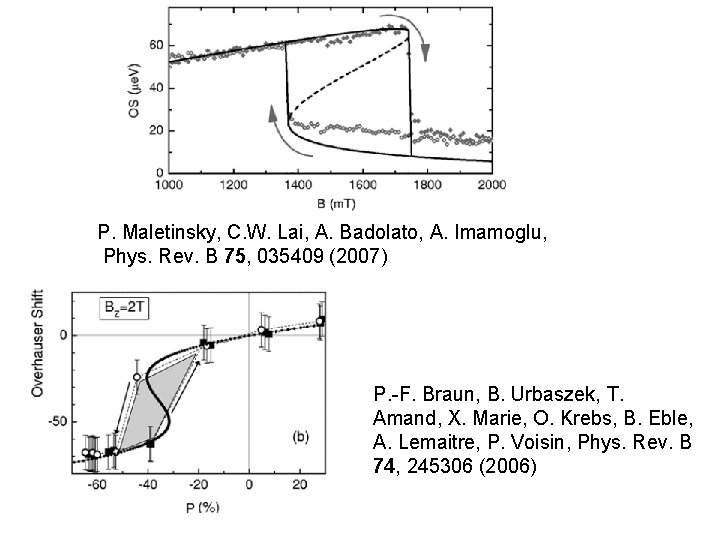 P. Maletinsky, C. W. Lai, A. Badolato, A. Imamoglu, Phys. Rev. B 75, 035409