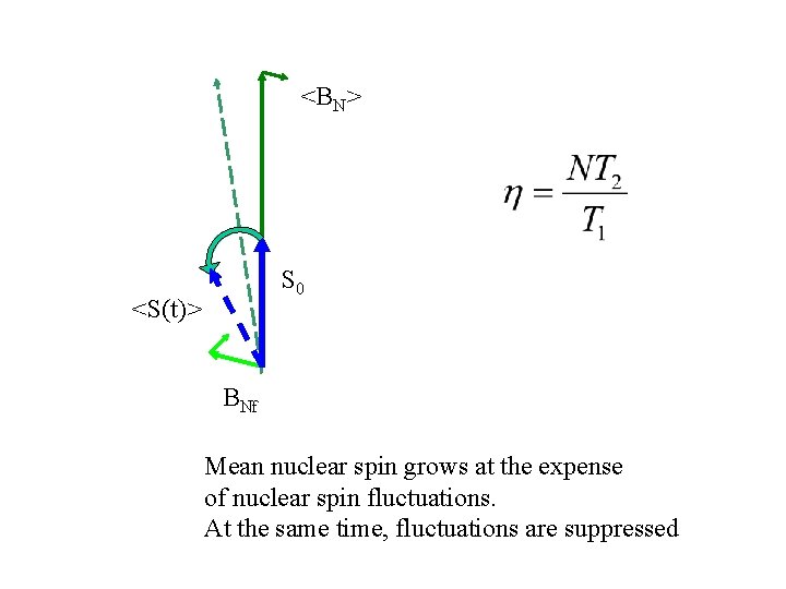 <BN> S 0 <S(t)> BNf Mean nuclear spin grows at the expense of nuclear