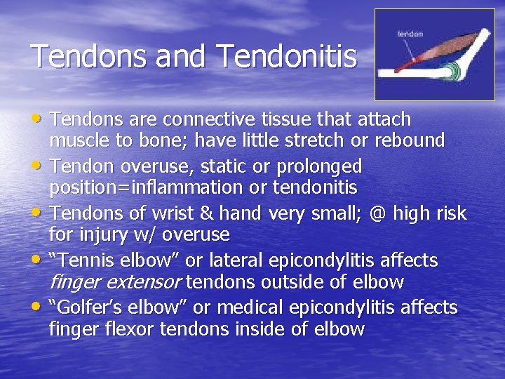 Tendons and Tendonitis • Tendons are connective tissue that attach • • muscle to Tendons and Tendonitis • Tendons are connective tissue that attach • • muscle to