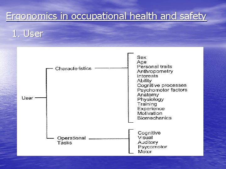 Ergonomics in occupational health and safety 1. User Ergonomics in occupational health and safety 1. User