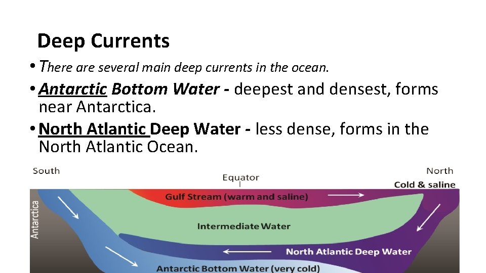 Deep Currents • There are several main deep currents in the ocean. • Antarctic Deep Currents • There are several main deep currents in the ocean. • Antarctic