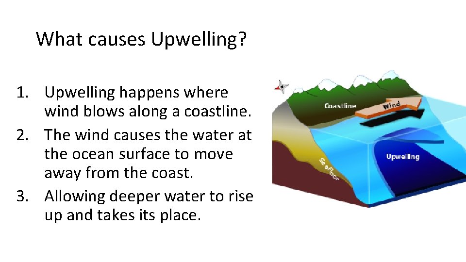 What causes Upwelling? 1. Upwelling happens where wind blows along a coastline. 2. The