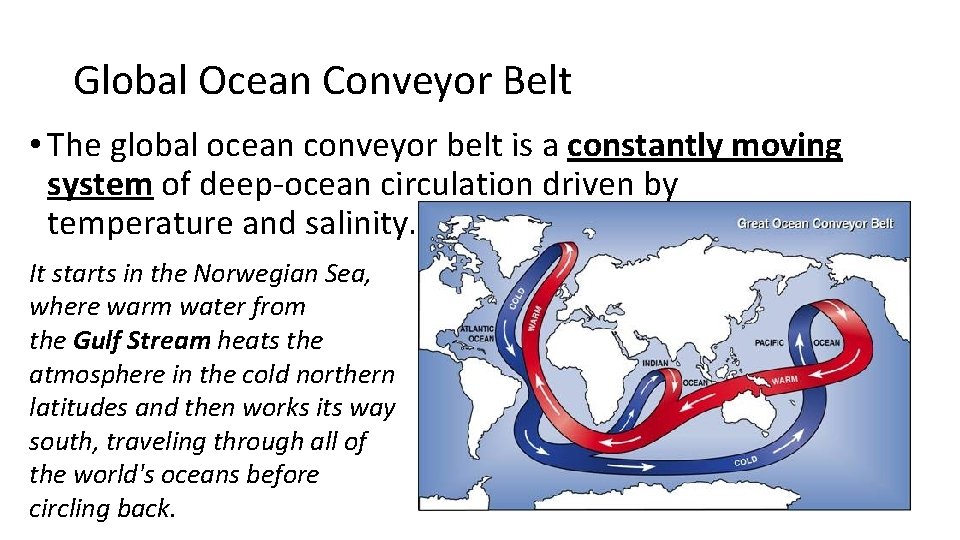 Global Ocean Conveyor Belt • The global ocean conveyor belt is a constantly moving