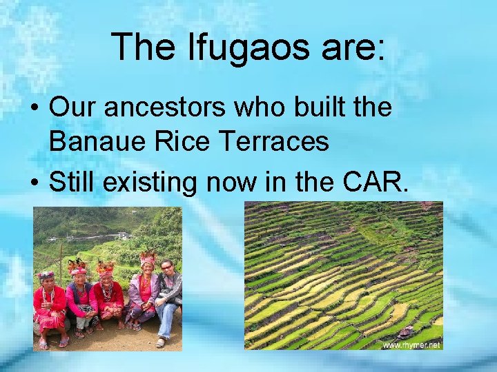The Ifugaos are: • Our ancestors who built the Banaue Rice Terraces • Still