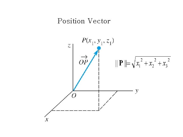 Position Vector 
