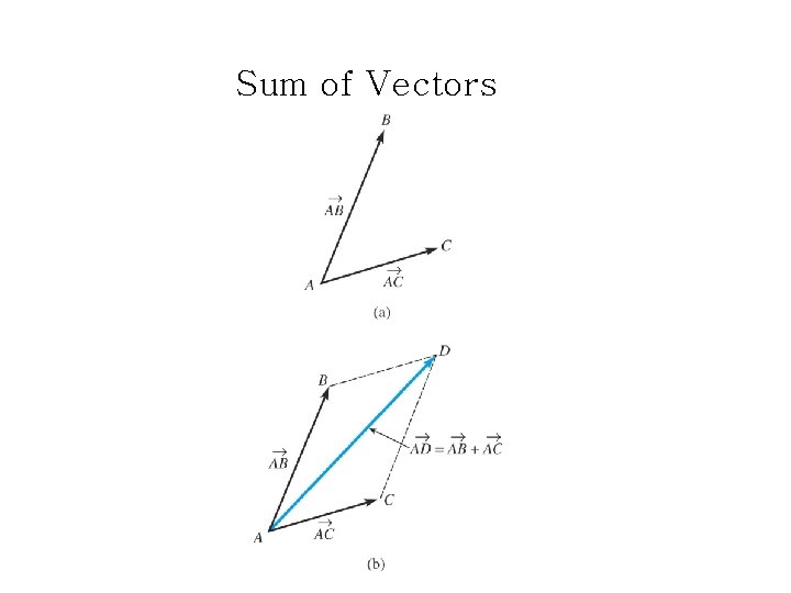 Sum of Vectors 