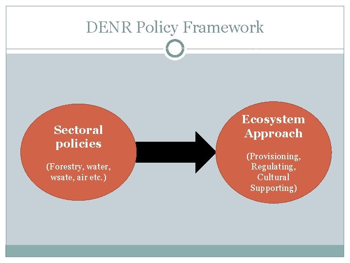 DENR Policy Framework Sectoral policies (Forestry, water, wsate, air etc. ) Ecosystem Approach (Provisioning,