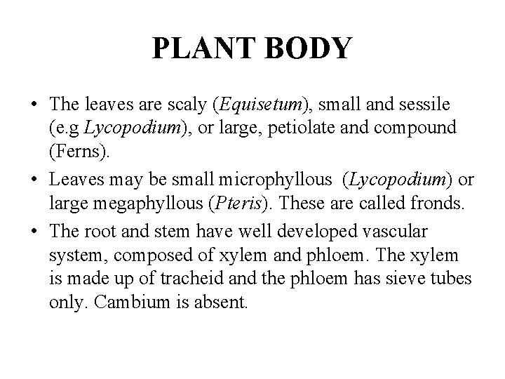 PLANT BODY • The leaves are scaly (Equisetum), small and sessile (e. g Lycopodium),