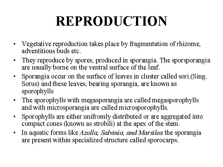 REPRODUCTION • Vegetative reproduction takes place by fragmentation of rhizome, adventitious buds etc. •