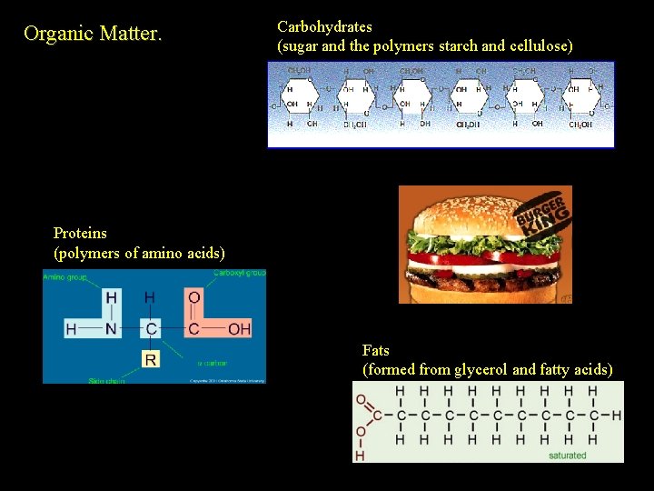 Organic Matter. Carbohydrates (sugar and the polymers starch and cellulose) Proteins (polymers of amino