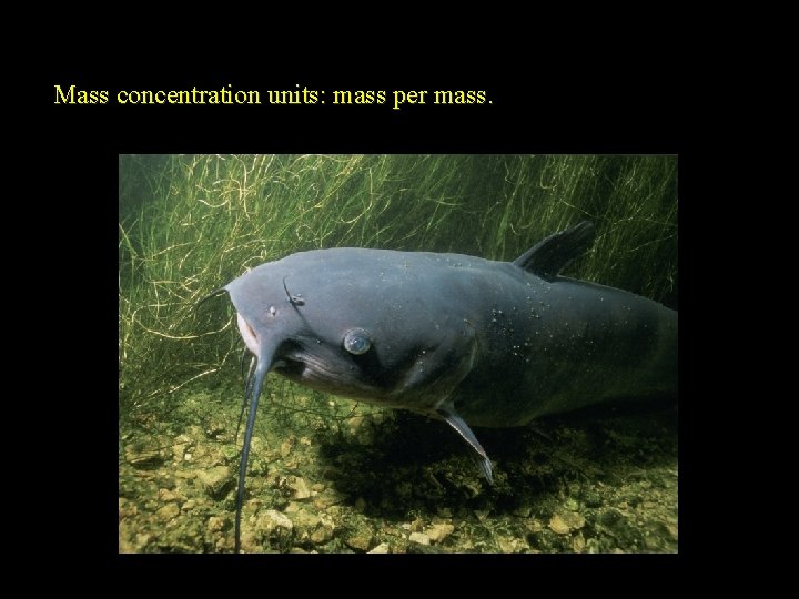 Mass concentration units: mass per mass. 