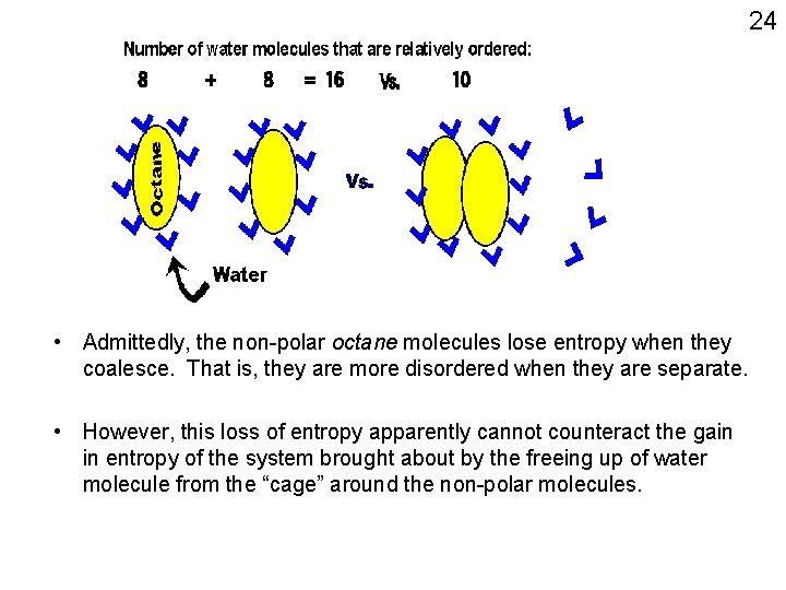 24 • Admittedly, the non-polar octane molecules lose entropy when they coalesce. That is,