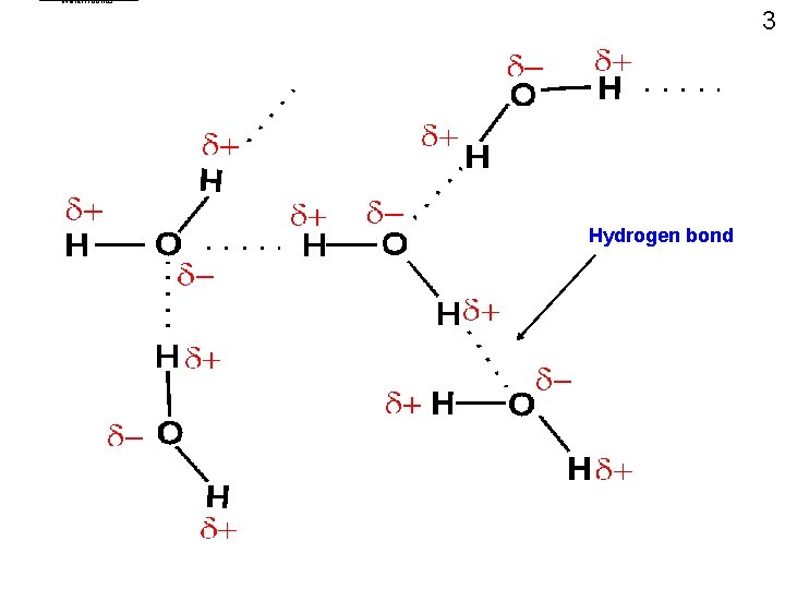water. Hbonds 3 Hydrogen bond 