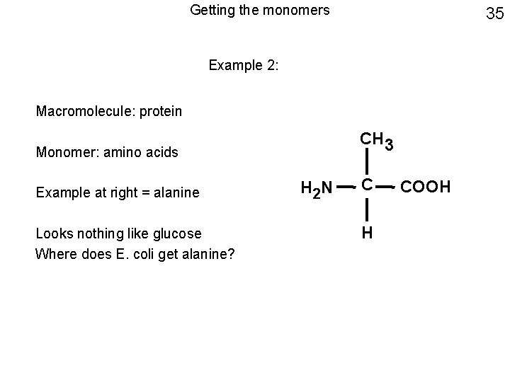 Getting the monomers 35 Example 2: Macromolecule: protein CH 3 Monomer: amino acids Example
