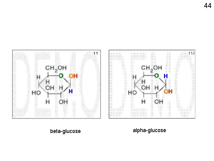 44 beta-glucose alpha-glucose 