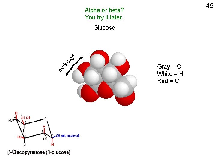 49 Alpha or beta? You try it later. hy dr o xy l Glucose