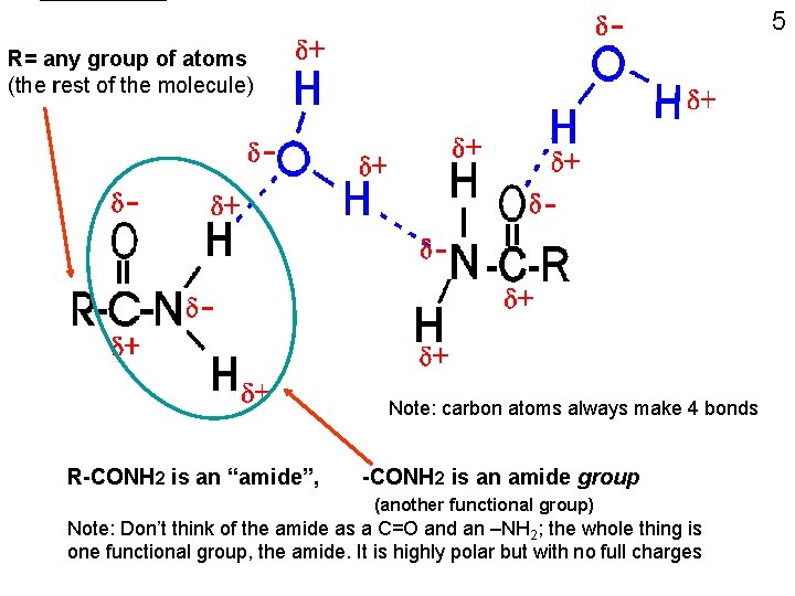 5 R= any group of atoms (the rest of the molecule) Note: carbon atoms