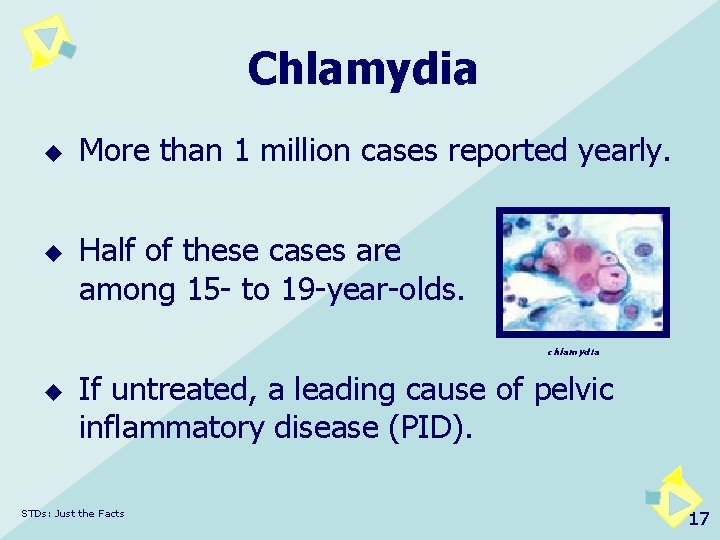 Chlamydia u u More than 1 million cases reported yearly. Half of these cases