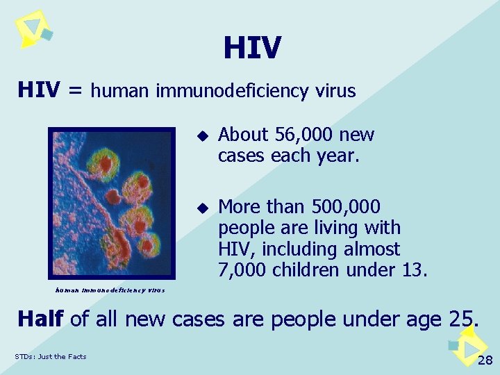 HIV = human immunodeficiency virus u u About 56, 000 new cases each year.