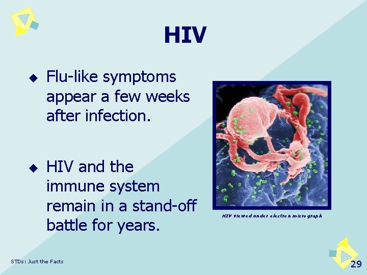 HIV u u Flu-like symptoms appear a few weeks after infection. HIV and the