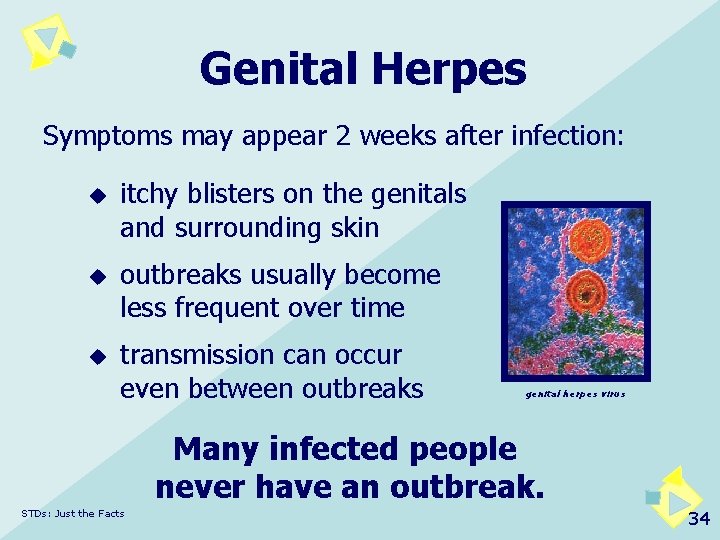 Genital Herpes Symptoms may appear 2 weeks after infection: u u u itchy blisters