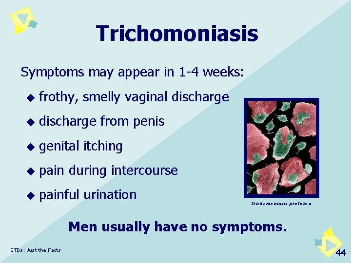 Trichomoniasis Symptoms may appear in 1 -4 weeks: u frothy, smelly vaginal discharge u