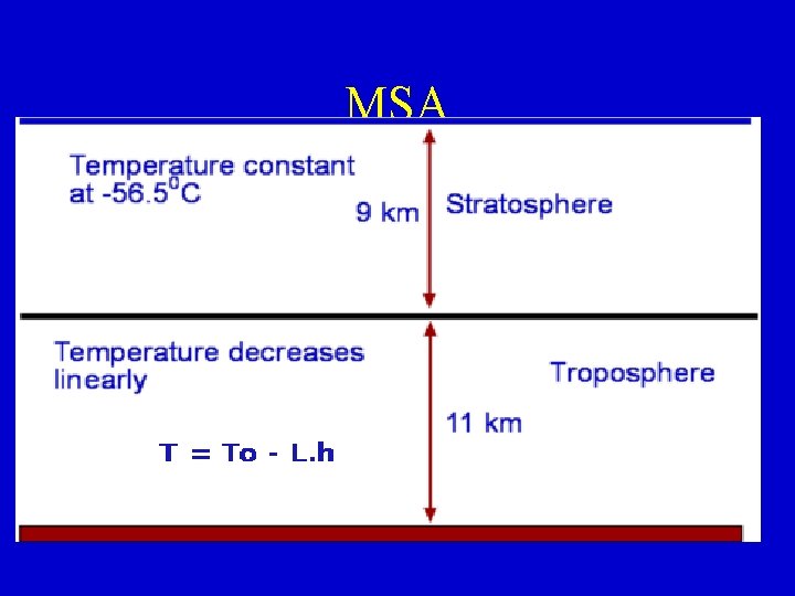 MSA 