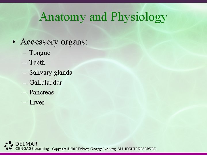 Anatomy and Physiology • Accessory organs: – – – Tongue Teeth Salivary glands Gallbladder