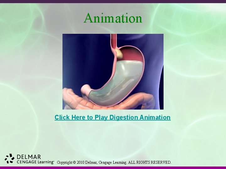 Animation Click Here to Play Digestion Animation Copyright © 2010 Delmar, Cengage Learning. ALL