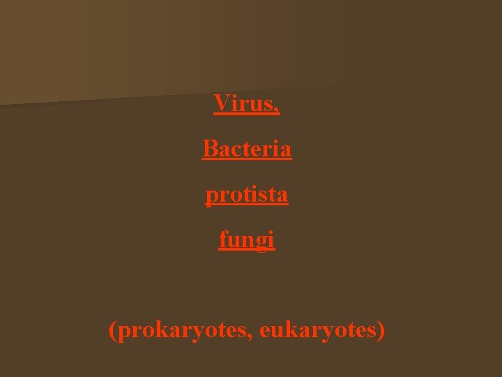 Virus, Bacteria protista fungi (prokaryotes, eukaryotes) 