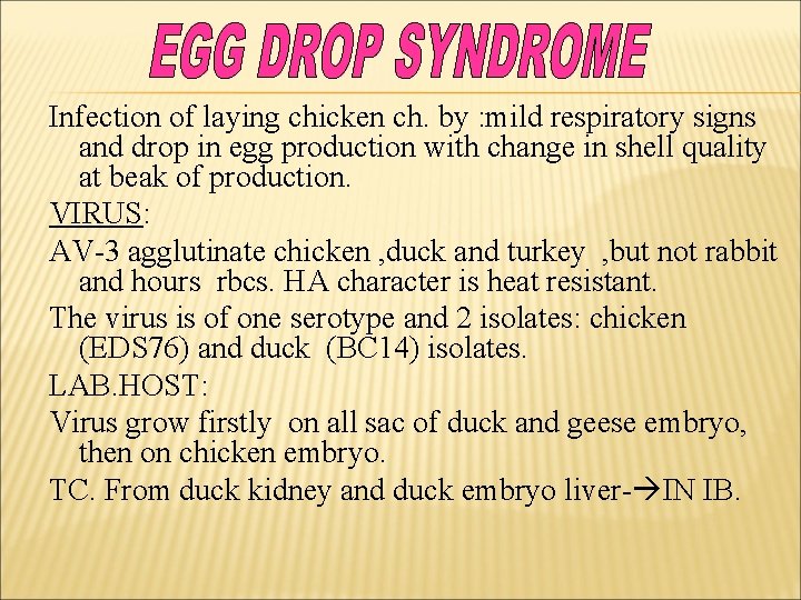 Infection of laying chicken ch. by : mild respiratory signs and drop in egg