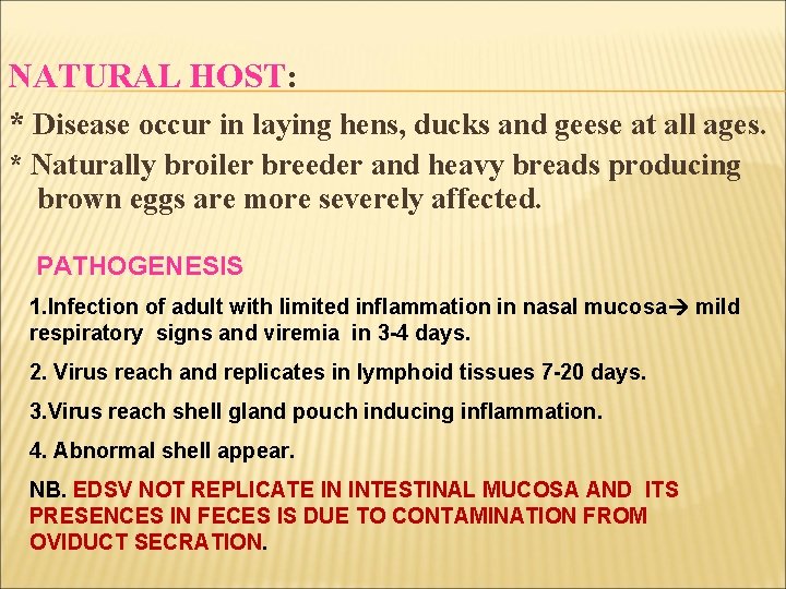 NATURAL HOST: * Disease occur in laying hens, ducks and geese at all ages.