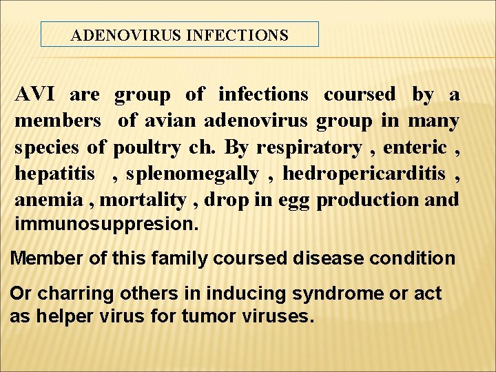 ADENOVIRUS INFECTIONS AVI are group of infections coursed by a members of avian adenovirus