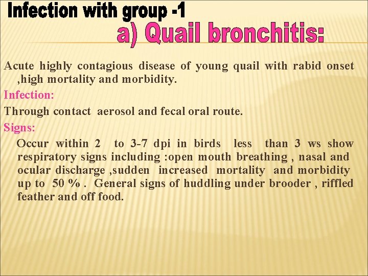 Acute highly contagious disease of young quail with rabid onset , high mortality and