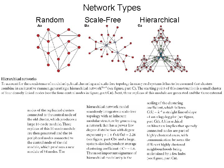 Network Types Random Scale-Free Hierarchical 