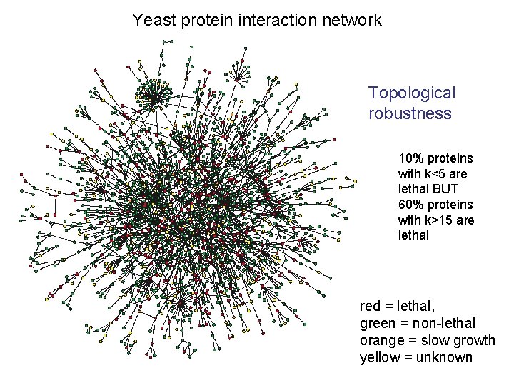 Yeast protein interaction network Topological robustness 10% proteins with k<5 are lethal BUT 60%