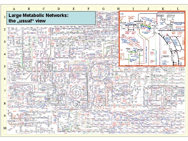 Large Metabolic Networks: the „usual“ view 